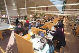 Área de estudio con usuarios trabajando en ordenadores y mesas individuales
