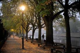 Paseo arbolado junto al río con farolas encendidas y hojas de otoño en el suelo