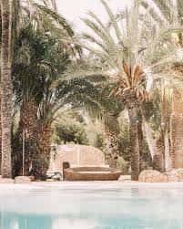 Área de piscina rodeada de palmeras en el Marakka Club