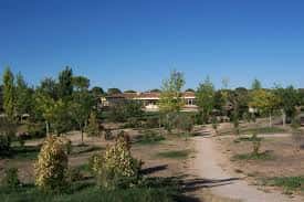 Vista panorámica del Parque de la Pulgosa con senderos y zonas verdes bajo cielo despejado