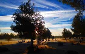 Atardecer en el parque con siluetas de árboles y personas disfrutando del espacio natural