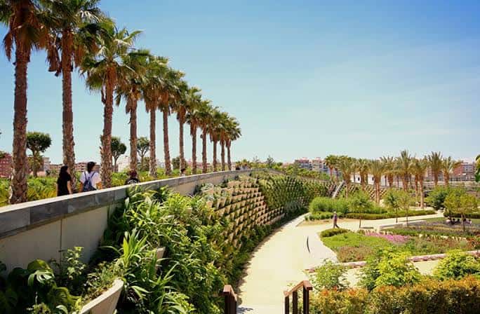 Paseo ajardinado con palmeras y senderos en el Parque Central de Valencia