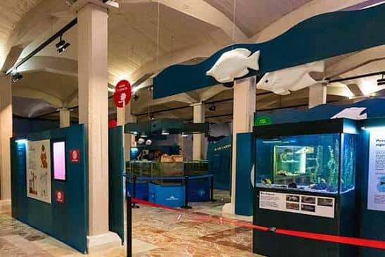 Vista interior del museo con exhibiciones de peces y acuarios