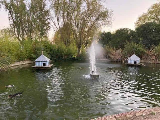 Lago central con fuente, casitas flotantes y patos en el agua