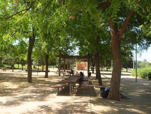 Zona arbolada del parque con mesas de picnic y personas descansando