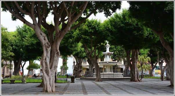 Plaza del Adelantado con árboles frondosos y fuente central