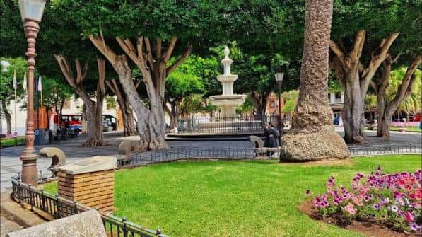 Vista de la plaza con césped, flores y árboles antiguos