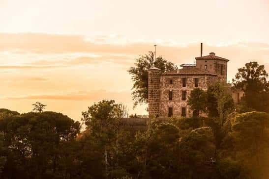 Castell de Raymat al atardecer entre árboles y viñedos