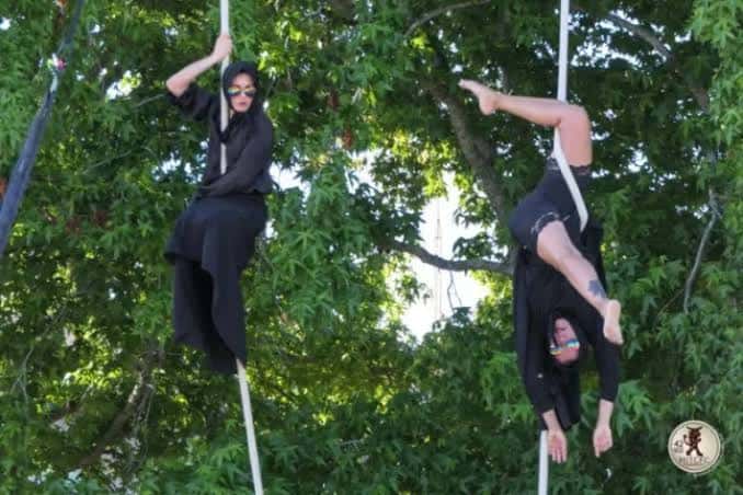 Artistas de circo aéreo colgados de cuerdas entre árboles