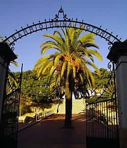 Arco de entrada con palmera al fondo en el Barrio Reina Victoria