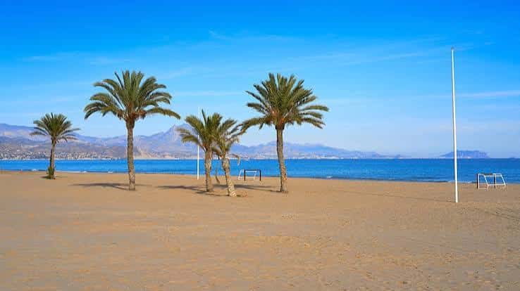 Escena tranquila de la Playa de San Juan con palmeras, arena y montañas al horizonte
