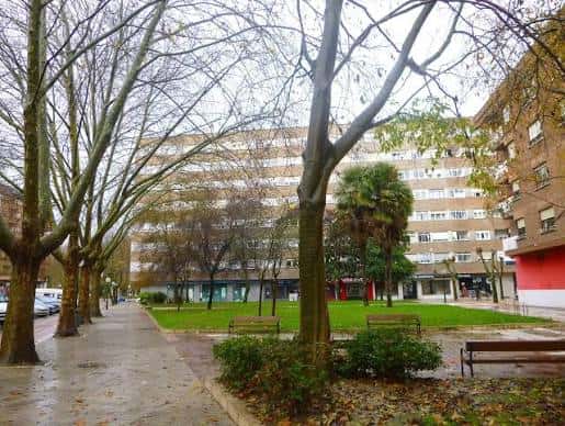 Vista del Parque de El Pilar en Vitoria con árboles y edificios residenciales al fondo