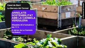 Huerto comunitario en el Casal de Barri La Barraca del Carmel con carteles informativos sobre sostenibilidad