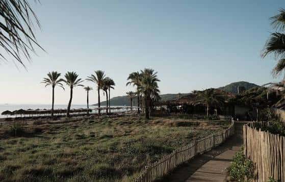 Vista exterior del Beachouse Ibiza con palmeras y acceso a la playa