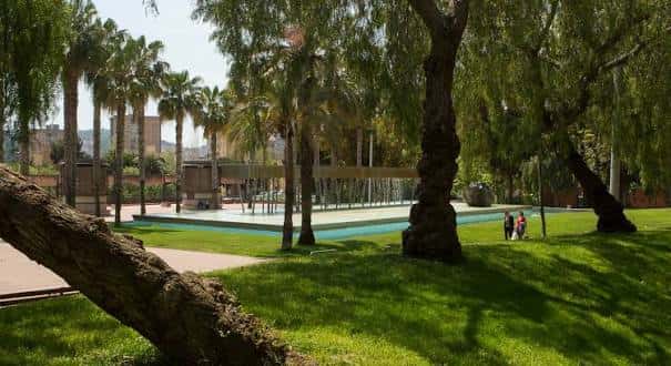 Área verde del parque con palmeras y personas caminando