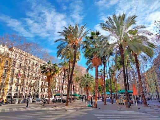 Vista panorámica de la Rambla del Raval con palmeras altas y cielo azul