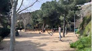 Área de recreo al aire libre con árboles y personas disfrutando del parque