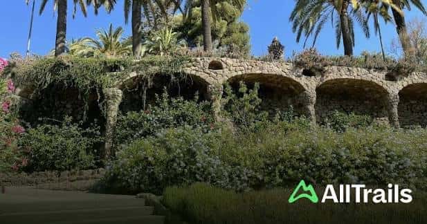 Estructura de piedra con arcos y vegetación exuberante bajo palmeras
