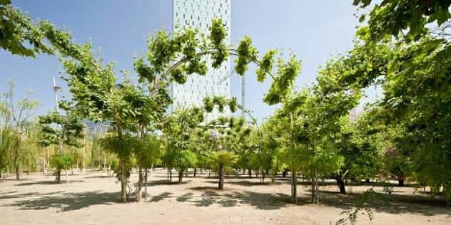 Sendero arbolado con rascacielos modernos al fondo