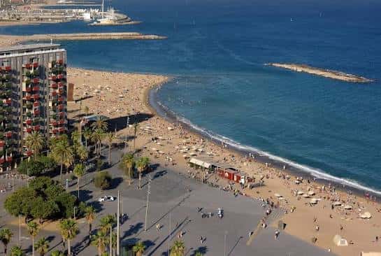 Vista aérea de la playa y el paseo marítimo con palmeras