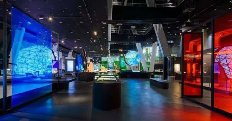 Pasillos del museo con pantallas digitales y exhibiciones de ciencias naturales