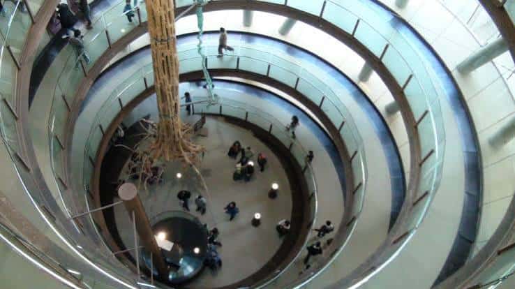 Vista cenital del atrio central con el árbol gigante y las galerías circulares