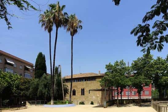 Plaza exterior del centro cívico con palmeras y entorno arbolado bajo cielo despejado