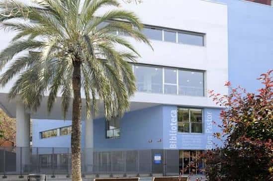 Entrada principal de la biblioteca con palmera y señalización visible