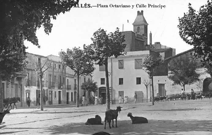 Vista histórica de la Plaça Octavià a principios del siglo XX con edificios antiguos y animales en la plaza