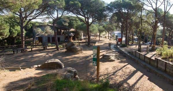 Vista panorámica del Parque Forestal con senderos y zonas de descanso