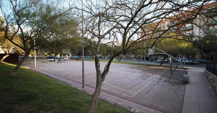 Vista general de la zona deportiva de baloncesto con árboles y césped