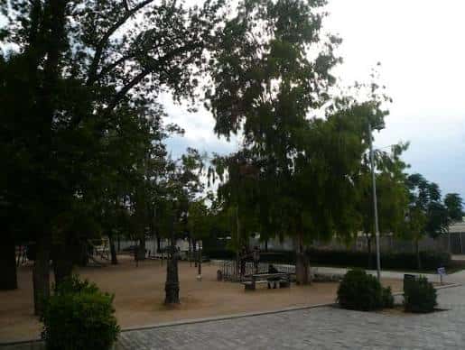 Área de juegos infantil con columpios y estructuras de madera en el parque
