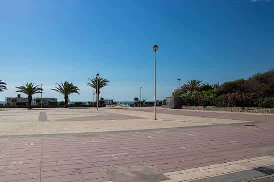 Plaza de la Concordia con pavimento de baldosas y palmeras frente al mar