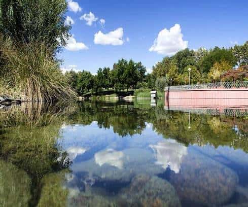 Vista del lago del parque con reflejos del cielo y vegetación