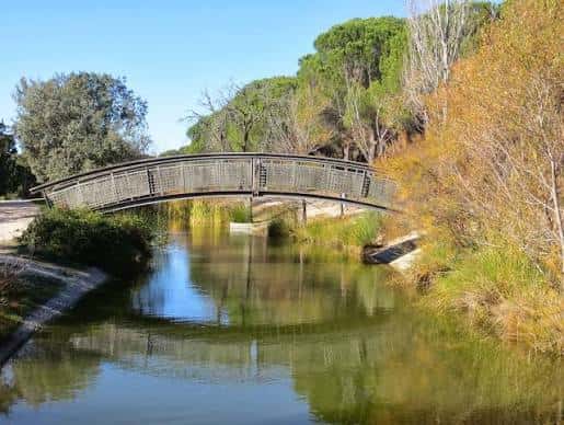 Puente de madera sobre el río rodeado de árboles y vegetación
