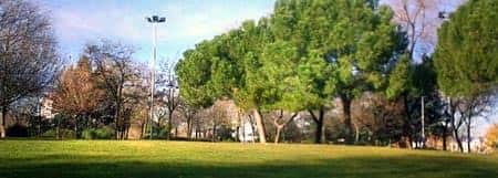 Vista panorámica del Parque Salvador Allende con árboles frondosos y césped verde