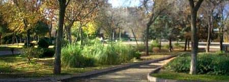 Sendero peatonal rodeado de vegetación y árboles en el parque