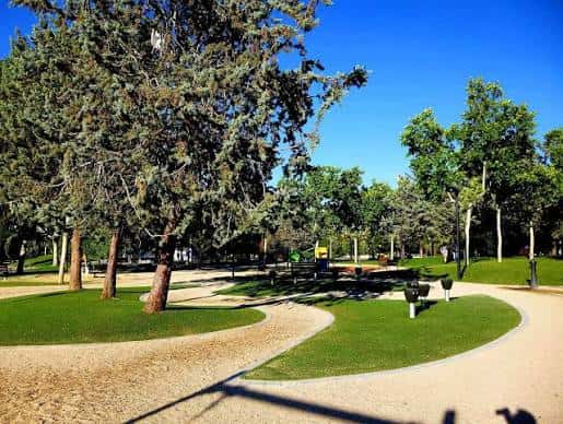 Área arbolada del parque con caminos curvos, bancos y sombras proyectadas por árboles frondosos