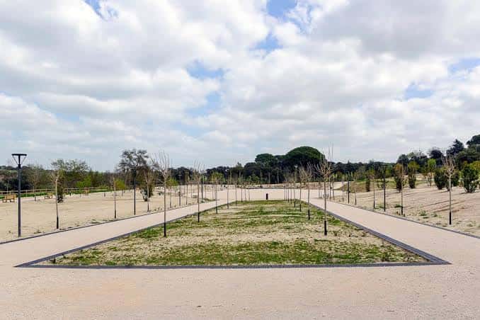 Sendero principal del parque con árboles jóvenes y cielo nublado