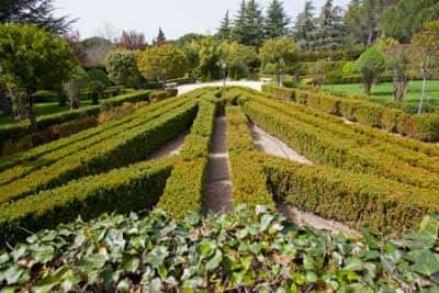 Jardines de Peñalba con setos geométricos y senderos centrales
