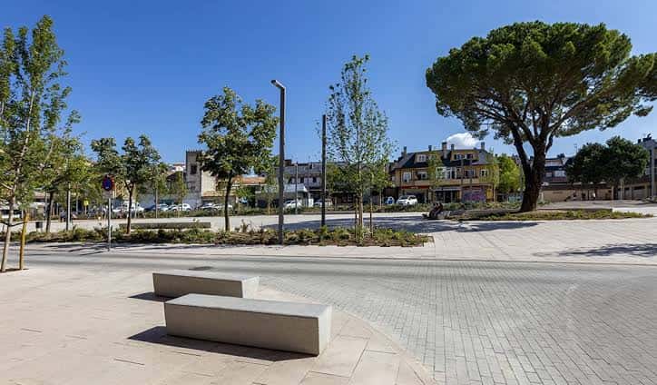 Ángulo de la plaza con bancos modernos, árboles jóvenes y el gran pino al fondo, ideal para eventos al aire libre
