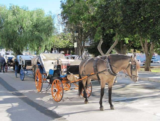 Carroza de caballos en la Plaza de la Virgen de la Peña