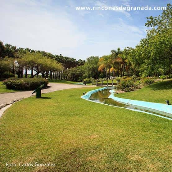 Sendero junto a un canal de agua en el parque, rodeado de vegetación y árboles