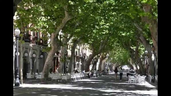 Calle Marqués de Campo en Dénia con árboles frondosos y mesas de terraza