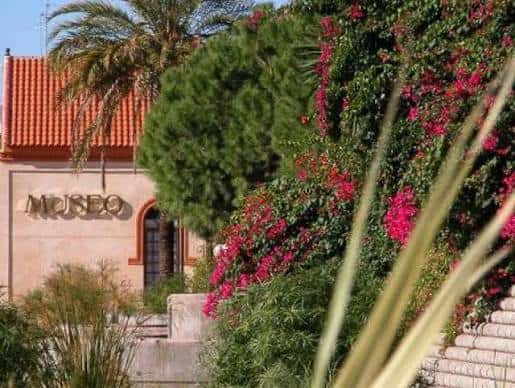 Vista parcial del museo rodeado de vegetación y flores rosadas