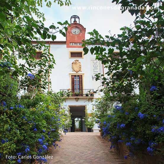 Entrada principal de la Casa de la Palma rodeada de vegetación y flores azules