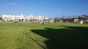 Campo de rugby en día soleado con jugadores en actividad y edificios blancos al fondo