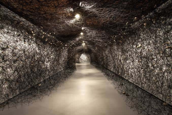 Instalación artística con túnel de ramas y luces