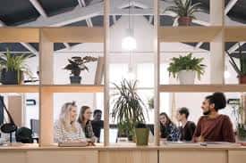 Área de coworking con estanterías de madera y plantas decorativas