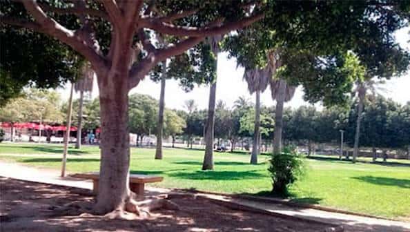 Área verde del Parque Municipal con árboles frondosos y zona de eventos al fondo